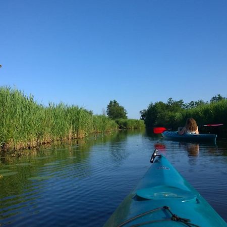 B&B De Zilverreiger Belt-Schutsloot Exteriör bild