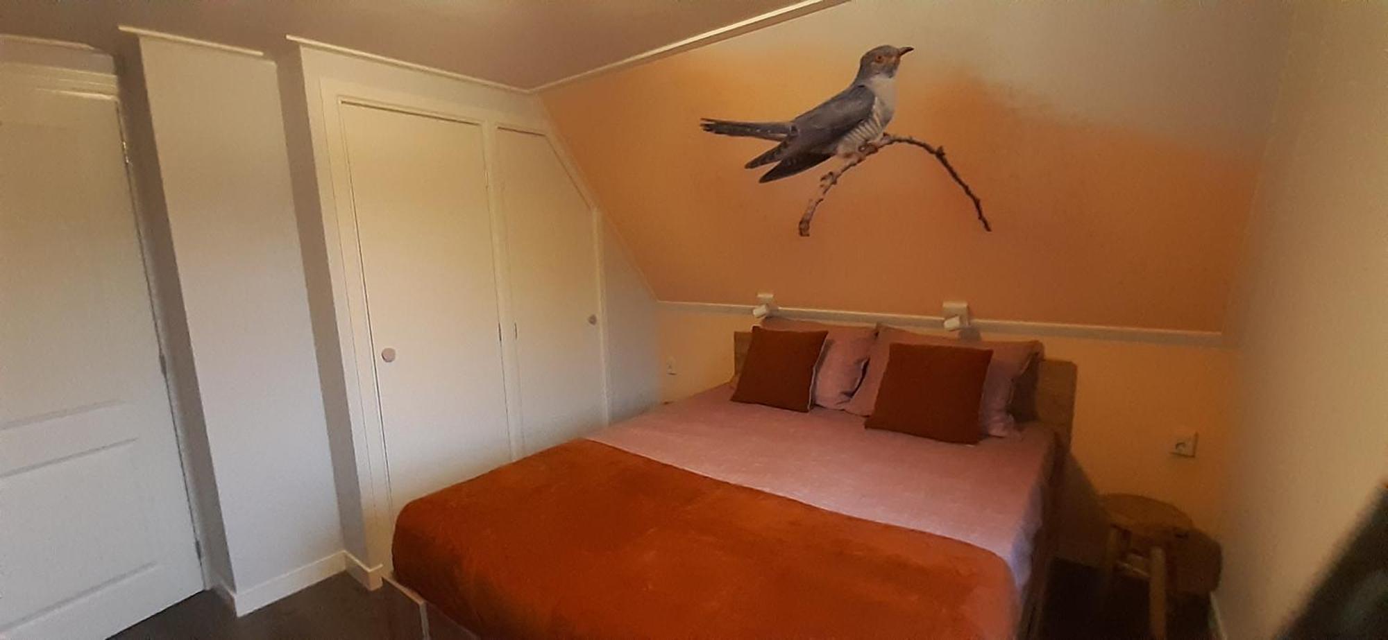 B&B De Zilverreiger Belt-Schutsloot Exteriör bild