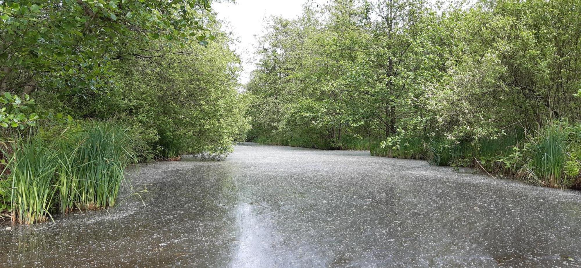 B&B De Zilverreiger Belt-Schutsloot Exteriör bild