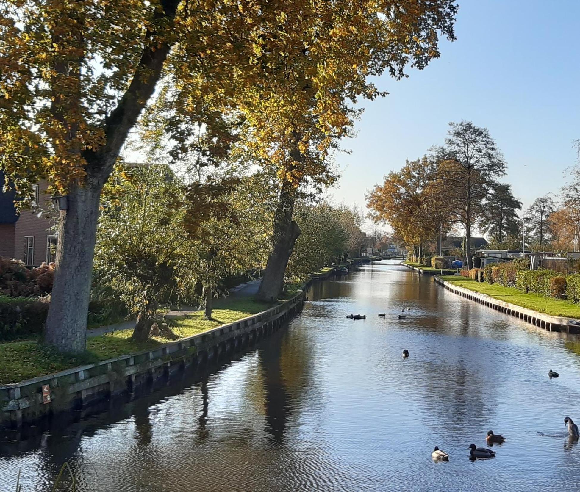 B&B De Zilverreiger Belt-Schutsloot Exteriör bild