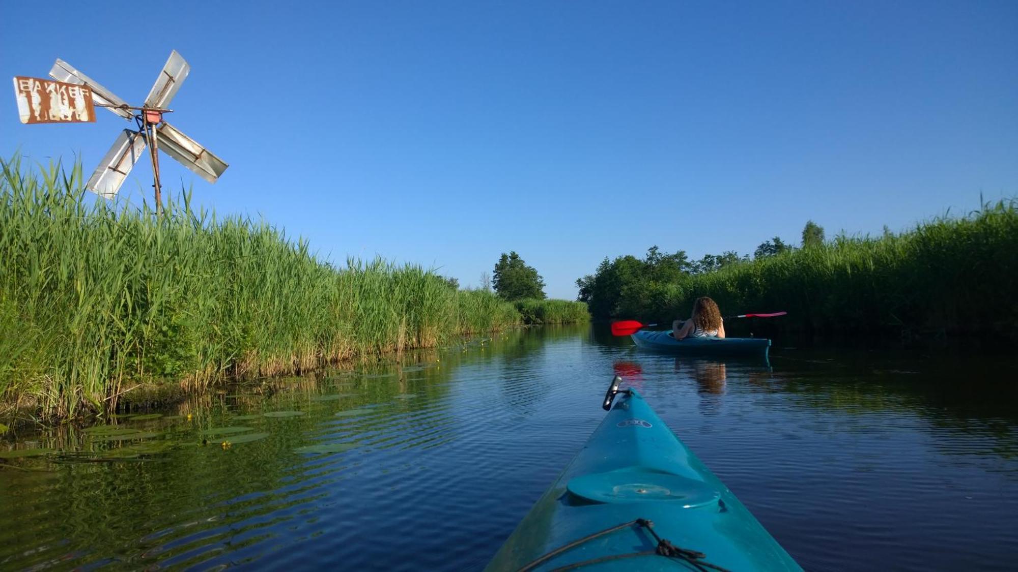 B&B De Zilverreiger Belt-Schutsloot Exteriör bild